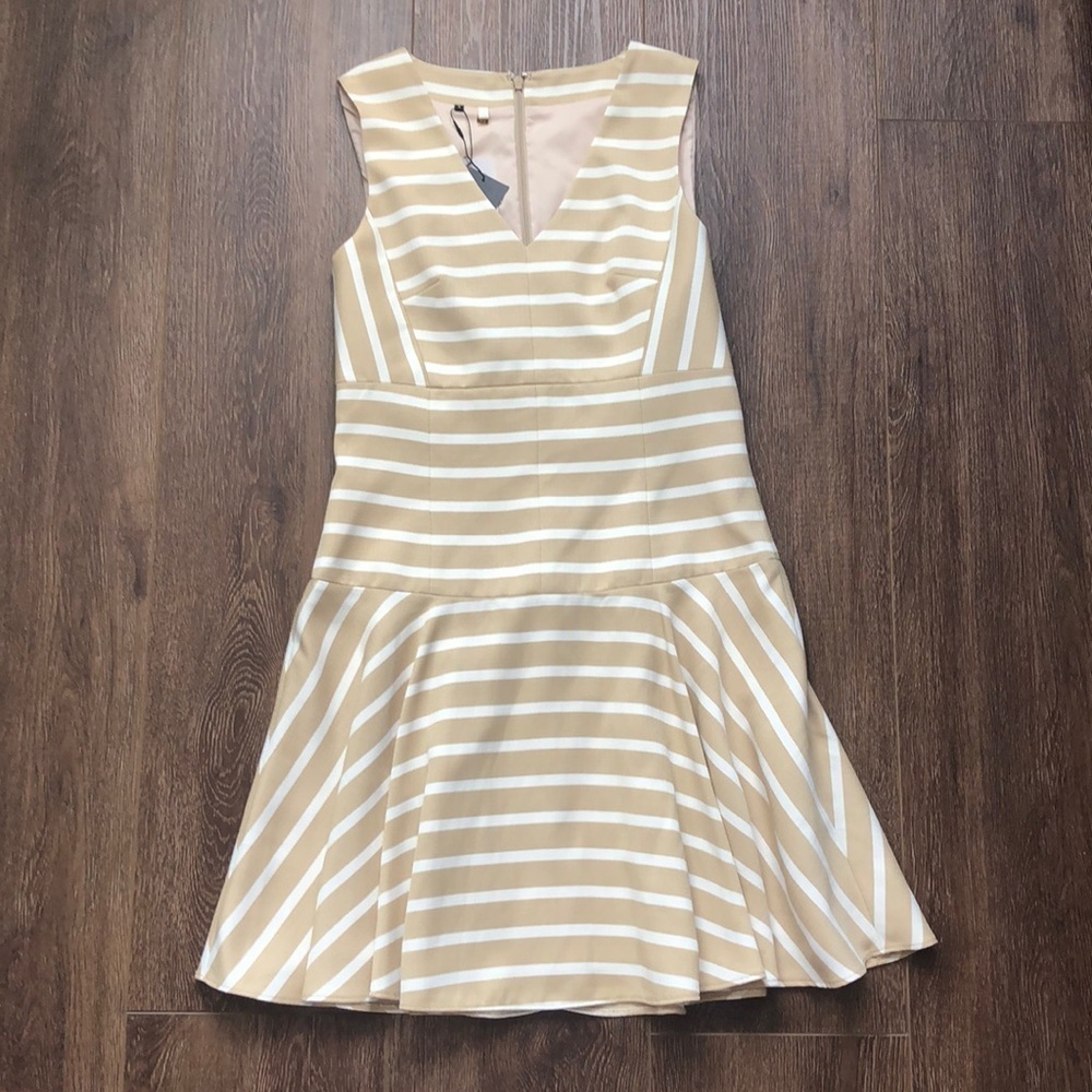 4 Collective Striped Plain Weave Flirty Dress